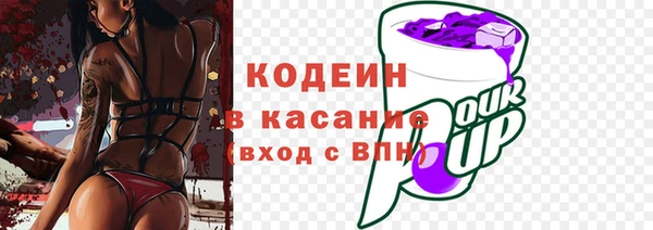 скорость Вяземский