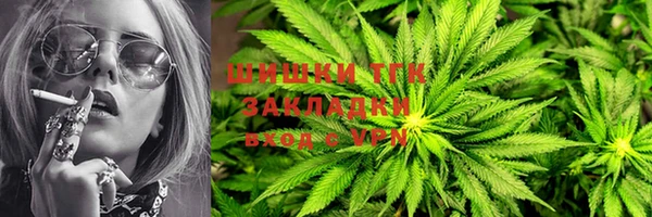 стафф Волоколамск