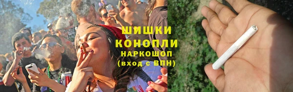 скорость Вяземский