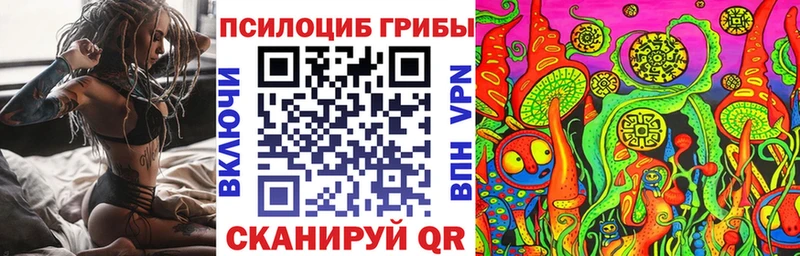 Псилоцибиновые грибы Psilocybe Меленки