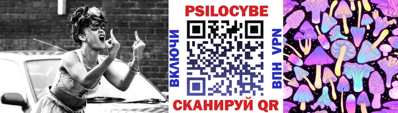 Купить закладки  Меленки  Галлюциногенные грибы GOLDEN TEACHER 